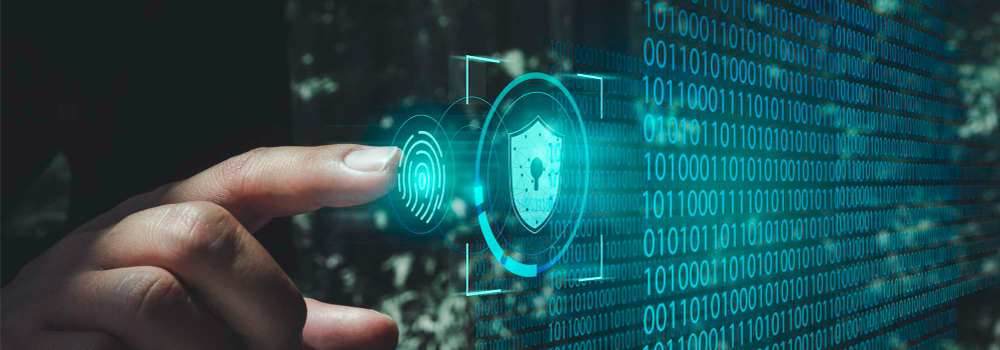 Riscos Cibernéticos